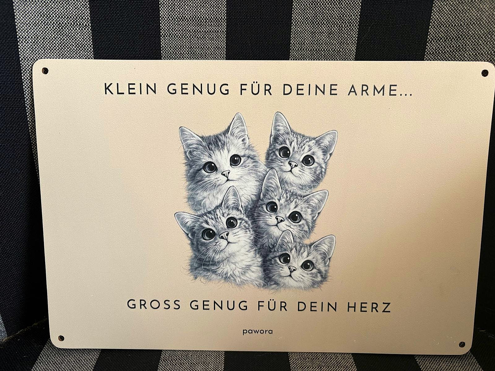 Humorvolles Holzschild mit süßer Katzenillustration – Klein genu g für deine Arme
